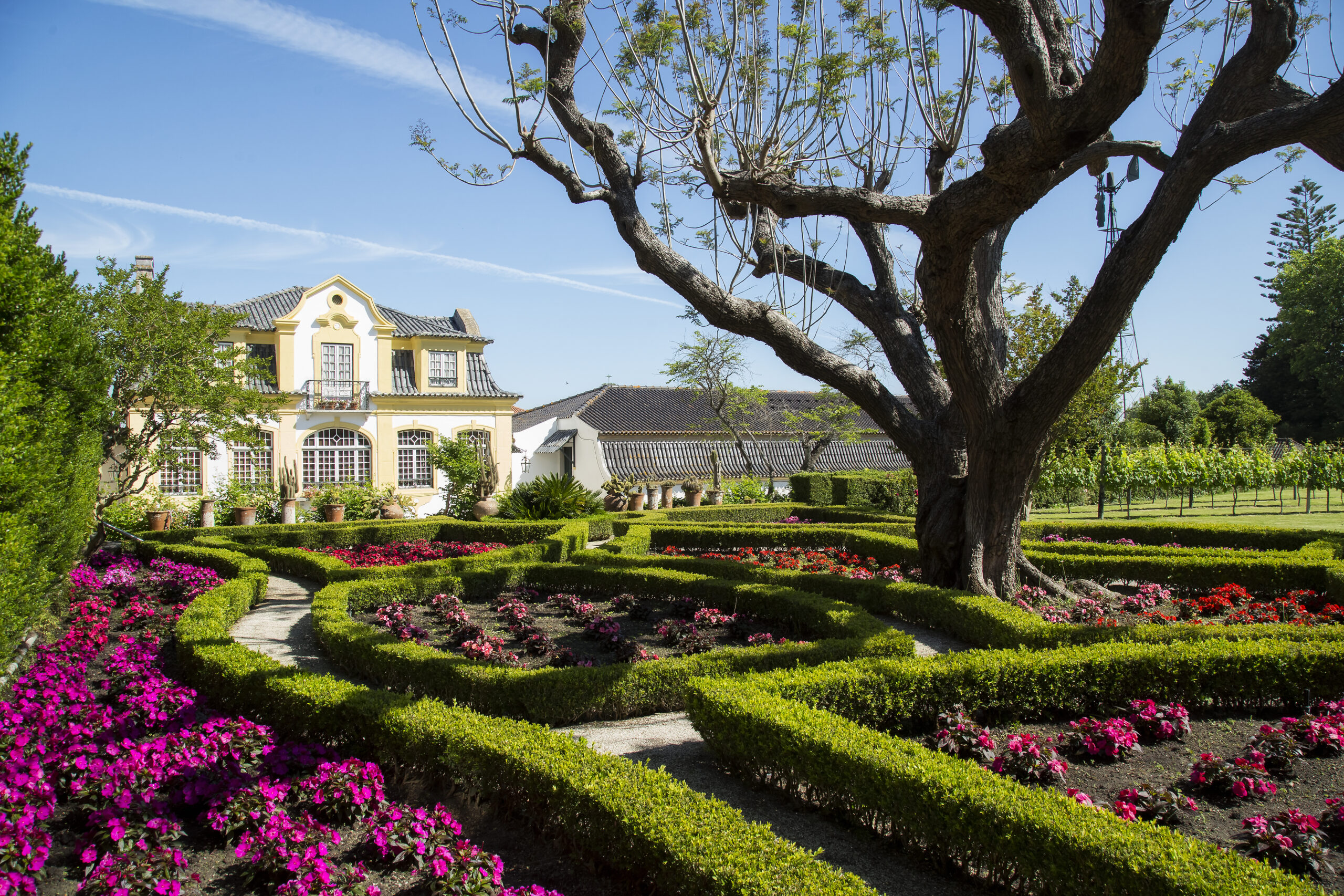 Viinimatka Portugaliin José Maria da Fonsecan kanssa